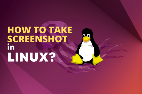 5 Ways to Take Screenshots in Ubuntu [GUI and Terminal]