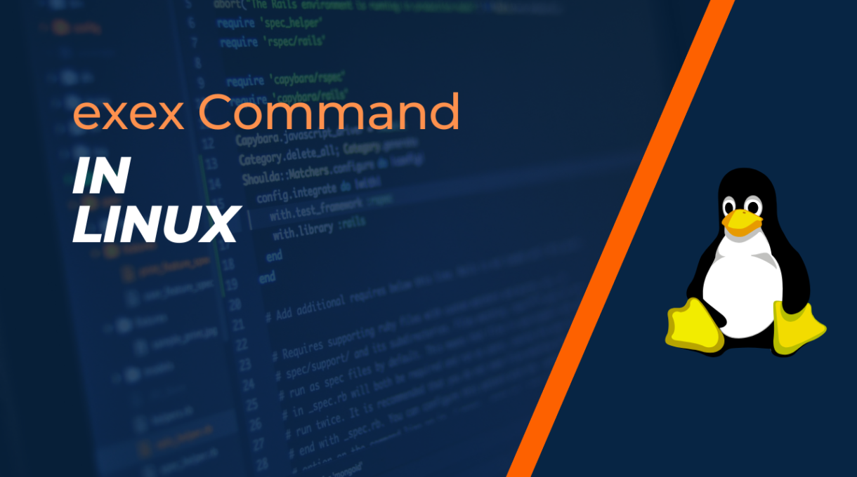 Linux exec command with examples