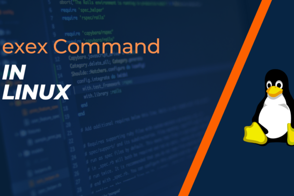 Linux exec Command Explained With Examples