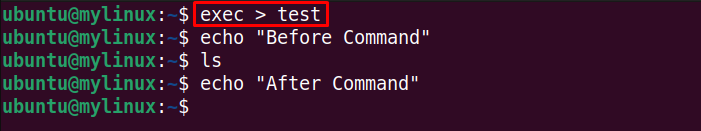 Write exec command output to a file